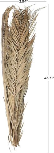 Deco 79 Dried Plant Palm Leaves Natural Foliage Tall , 4" x 1" x 43", Light Brown in Saudi Arabia