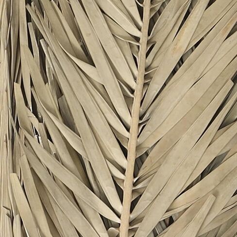 Deco 79 Dried Plant Palm Leaves Natural Foliage Tall , 4" x 1" x 43", Light Brown in Saudi Arabia