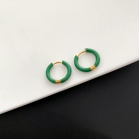 Titanium Steel Small Hoop Earrings for Women Girls Men Minimalist Sleeper Huggie Hoops Cartilage Piercing Tragus Earrings Hinged Hoop 12mm Hypoallergenic Ear Jewelry Gifts in Saudi Arabia