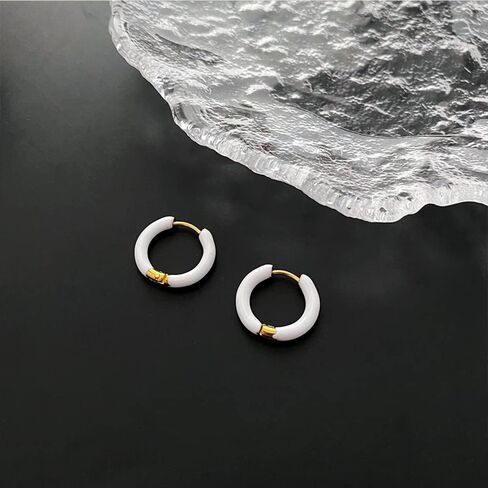 Titanium Steel Small Hoop Earrings for Women Girls Men Minimalist Sleeper Huggie Hoops Cartilage Piercing Tragus Earrings Hinged Hoop 12mm Hypoallergenic Ear Jewelry Gifts in Saudi Arabia