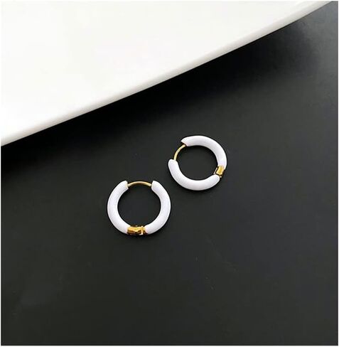 Titanium Steel Small Hoop Earrings for Women Girls Men Minimalist Sleeper Huggie Hoops Cartilage Piercing Tragus Earrings Hinged Hoop 12mm Hypoallergenic Ear Jewelry Gifts in Saudi Arabia