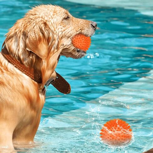 كرة كلب شائكة مقاس 3.5 سم، لعبة للحيوانات الأليفة، ألعاب تصدر صريرًا للكلاب، كرة مضغ عدوانية، أحمر in Kuwait