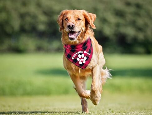 مضحك الأحمر منقوشة القطن مثلث خدمة الكلب باندانا للصور عيد ميلاد حزب الدعائم وشاح الأوشحة الزينة، الحيوانات الأليفة عشاق مالك هدية in Kuwait