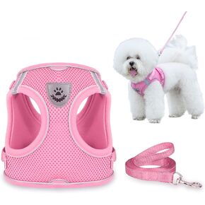 Dog Harness and Leash Set for Walking, Escape Proof Vest Harness with Soft Mesh, Adjustable Strap, Reflective Strips for Kitten Cats and Puppy Dogs