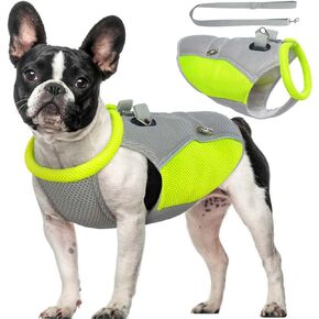 ROZKITCH Dog Cooling Vest with Leash Set, Dog Harness Cooler Jacket with V-Ring, Lightweight Evaporative Cooling Vests for Summer Hot Weather Outdoor Hiking Walking Camping Training Hunting Grey S