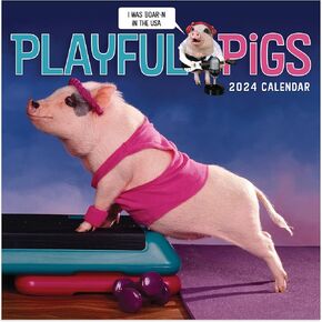 TF Publishing 2024 Playful Pigs Mini Calendar | Large Grids for Appointments and Scheduling | Vertical Monthly Wall Calendar 2024 | Home and Office Organization | Premium Thick Gloss Paper | 7"x7" in Saudi Arabia