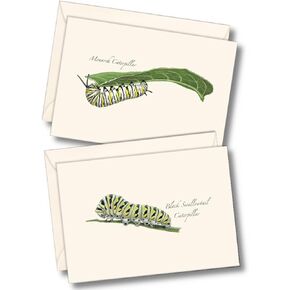 Earth Sky + Water - Caterpillar Assortment Notecard Set - 8 Blank Cards with Envelopes (4 each of 2 styles)
