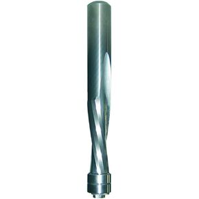 CMT 192.507.11B Solid Carbide Downcut Spiral Flush Trim Bit, 1/2-Inch