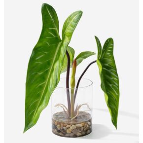 Realistic Faux Plant in Clear Pot with Artificial Water, Narrow Arrowhead Leaves. Artificial Plants Indoor and Outdoor