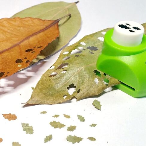 Yosoo Craft Hole Punch Shapes Set with 8pcs Paper Beautiful Paper Punch Cutter Tree Leaf Making DIY Craft Accessories Scrapbooking (Oak Leaf) in Saudi Arabia