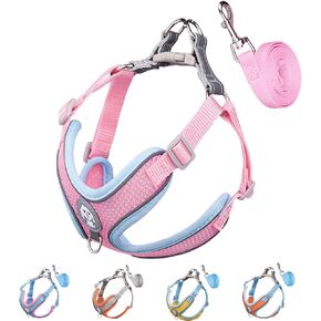 Harness Small Size Dog and Leash Set, Adjustable Reflective No Pull Step-in Dog Harness with Thickened Padded Vest for Extra-Small/Small Medium Large Dogs and Cats (Pink, S)