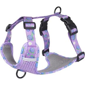 Dog Breathable Harness for Summer, No Pull Adjustable D-Ring Reflective Harness Webbing Walking Harness for Small Meduim Large Dogs(Purple,S)