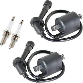2 x Ignition Coil Spark Plug Replacement for Yamaha V Star 650 XVS650 4VR-82320-00 1998-2016