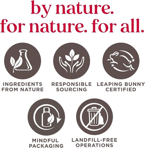 مجموعة شامبو وغسول الأطفال من بيرت بيز، خالية من العطور، تركيبة رغوية طبيعية المنشأ 2 في 1 للبشرة الحساسة، لا تسبب الحساسية، لا تسبب الدموع، تم اختبارها من قبل أطباء الأطفال، حجم مناسب للسفر، 24 أونصة (8.4 أونصة 3 عبوات) in Kuwait