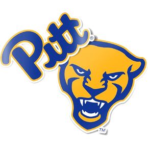 Desert Cactus University of Pittsburgh Pitt Panthers Sticker Vinyl Decal Laptop Water Bottle Car Scrapbook (4 Inch Set V1)