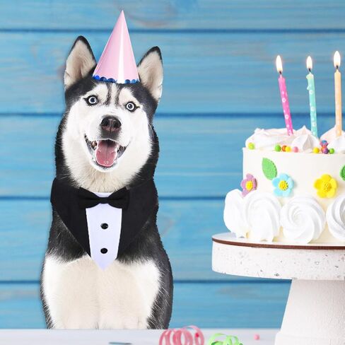 طوق باندانا لحفلات الزفاف مع ربطة عنق - أزياء رسمية للكلاب قابلة للتعديل، هدايا عيد ميلاد وحفلات الخطوبة للكلاب الصغيرة والمتوسطة والكبيرة والحيوانات الأليفة باللون الأسود-S in Kuwait