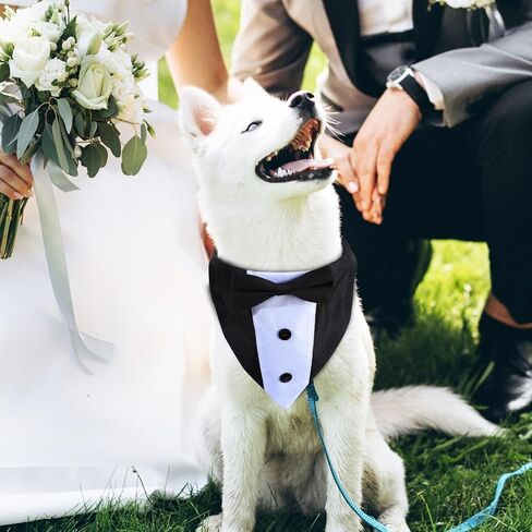 طوق باندانا لحفلات الزفاف مع ربطة عنق - أزياء رسمية للكلاب قابلة للتعديل، هدايا عيد ميلاد وحفلات الخطوبة للكلاب الصغيرة والمتوسطة والكبيرة والحيوانات الأليفة باللون الأسود-S in Kuwait