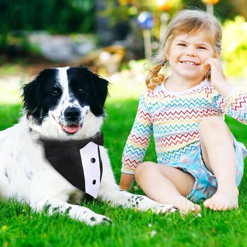 طوق باندانا لحفلات الزفاف مع ربطة عنق - أزياء رسمية للكلاب قابلة للتعديل، هدايا عيد ميلاد وحفلات الخطوبة للكلاب الصغيرة والمتوسطة والكبيرة والحيوانات الأليفة باللون الأسود-S in Kuwait