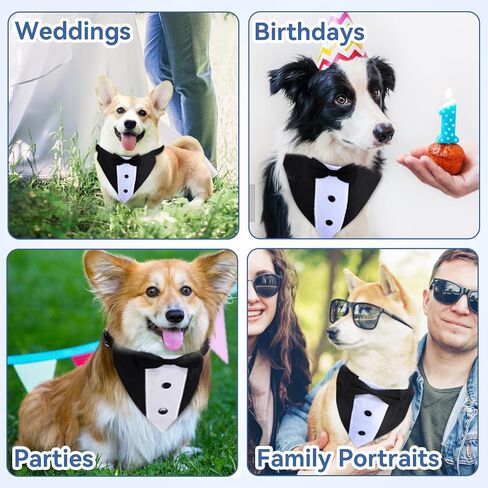 طوق باندانا لحفلات الزفاف مع ربطة عنق - أزياء رسمية للكلاب قابلة للتعديل، هدايا عيد ميلاد وحفلات الخطوبة للكلاب الصغيرة والمتوسطة والكبيرة والحيوانات الأليفة باللون الأسود-S in Kuwait