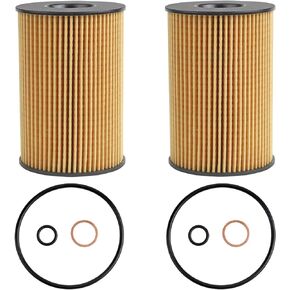 Oil Filter Fits for BMW X5 X6 X7 F10 F15 N63 N63tu S63-2008-2022 X6, 2009-2019 750i/750Li, 2017-2019 750Li xDrive, 2011-2016 550i/550i xDrive Replaces# OX 353/7D ECO, P40104, P987, PG5904(2 Pcs)
