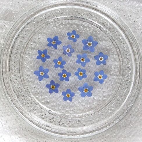 20Pcs Blue Forget-Me-Not Dried Flowers,Natural Forget-Me-Not Dried Flowers Dried Flower Real Dried Pressed Flowers Home Décor Products for Home and Kitchen DIY Decoration in Saudi Arabia
