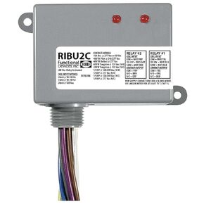 Functional Devices RIBU2C Pilot Relays, 10 Amp 2 SPDT, 10-30 Vac/dc/120 Vac Coil, NEMA 1 Housing