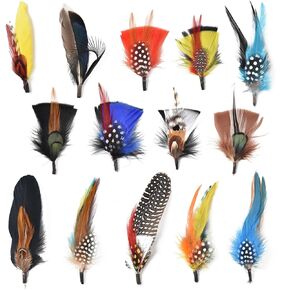 Redvigh Hat Feathers 14PCS, Assorted Natural Feathers Accessories Mixed Feathers for Crafts for Cowboy Hats Trilby Hats Dream Catcher Crafts DIY Decoration