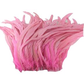 CENFRY Nature Rooster Coque Tails Feathers Costume Craft Decoration 12-14inch Pack of 50 (Black)