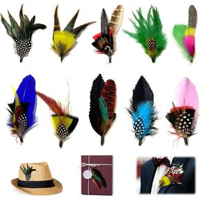 Hat Feathers, 10 Pcs Assorted Feather Packs Accessories for Fedora for Fedora Hats Colorful Real Feathers for DIY Craft, Christmas Decorations Men Women Oktoberfest Hats