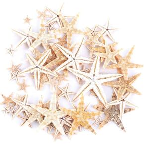 Leadigol Natural Starfish Seashell Beach Craft Natural Sea Stars DIY Beach Wedding Decoration Crafts Home Decor Epoxy