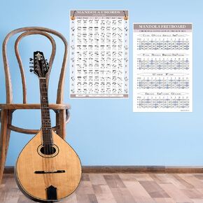 Mandola Chords and Fretboard Poster Set (CGDA Tuning)