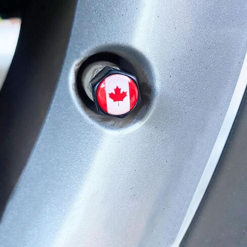 Anti Theft Tire Valve Stem Caps for Cars Trucks Motorcycles SUVs and Bikes | Tire Valve Caps | Tire Caps | Tapones para Llantas de Carro (CAN Black) in Saudi Arabia