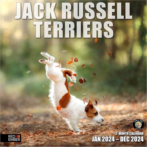 RED EMBER Jack Russell Terriers 2024 Hangable Monthly Wall Calendar | 12" x 24" Open | Thick & Sturdy Paper | Giftable | Cute Dog | Next-Level Adorable in Saudi Arabia