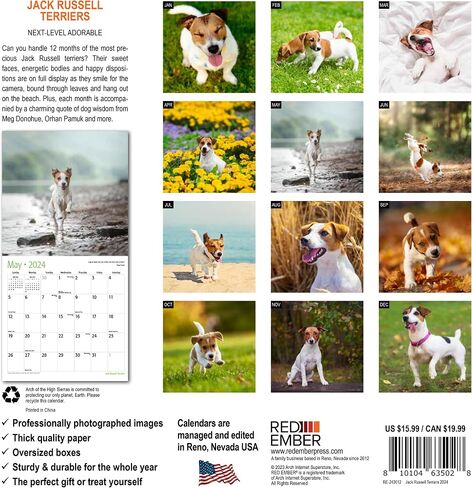 RED EMBER Jack Russell Terriers 2024 Hangable Monthly Wall Calendar | 12" x 24" Open | Thick & Sturdy Paper | Giftable | Cute Dog | Next-Level Adorable in Saudi Arabia