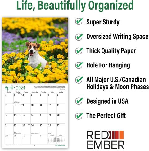 RED EMBER Jack Russell Terriers 2024 Hangable Monthly Wall Calendar | 12" x 24" Open | Thick & Sturdy Paper | Giftable | Cute Dog | Next-Level Adorable in Saudi Arabia
