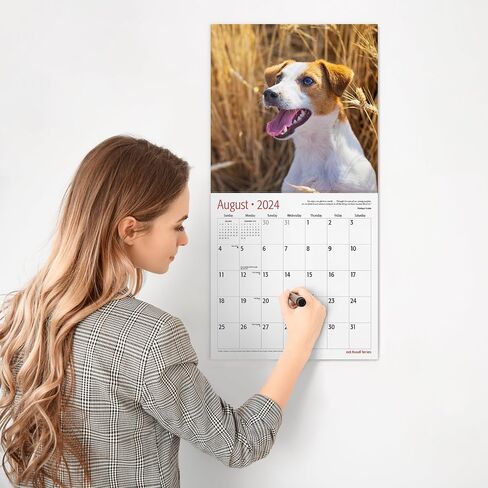 RED EMBER Jack Russell Terriers 2024 Hangable Monthly Wall Calendar | 12" x 24" Open | Thick & Sturdy Paper | Giftable | Cute Dog | Next-Level Adorable in Saudi Arabia