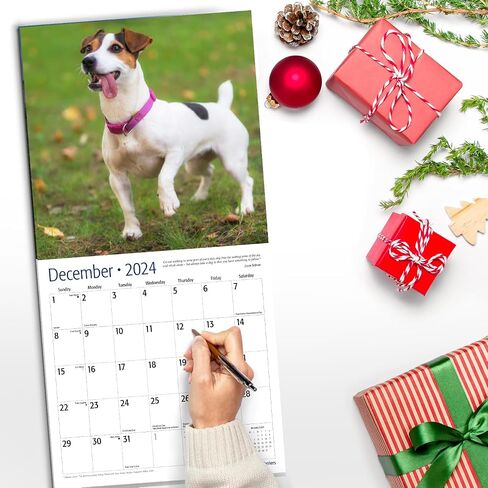 RED EMBER Jack Russell Terriers 2024 Hangable Monthly Wall Calendar | 12" x 24" Open | Thick & Sturdy Paper | Giftable | Cute Dog | Next-Level Adorable in Saudi Arabia