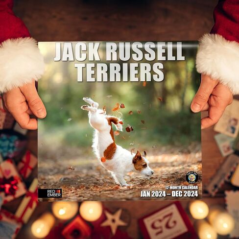 RED EMBER Jack Russell Terriers 2024 Hangable Monthly Wall Calendar | 12" x 24" Open | Thick & Sturdy Paper | Giftable | Cute Dog | Next-Level Adorable in Saudi Arabia