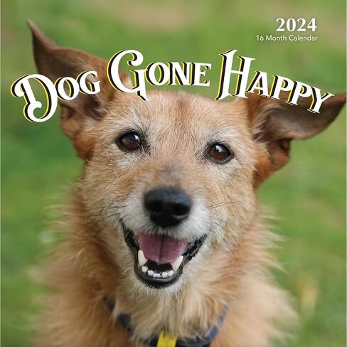 تقويم حائط قابل للتعليق لعام 2024 Dog Gone Happy - 12 بوصة × 12 بوصة - هدية صورة جرو مضحكة لطيفة مبتسمة - تصوير فوتوغرافي قوي وسميك للكلاب - صفحة كاملة كبيرة 16 شهرًا للتنظيم والتخطيط in Saudi Arabia