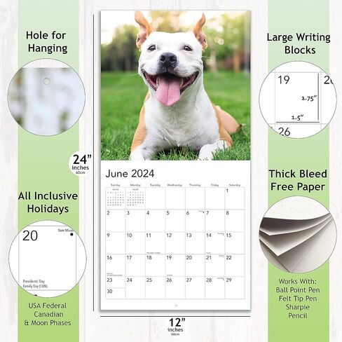 تقويم حائط قابل للتعليق لعام 2024 Dog Gone Happy - 12 بوصة × 12 بوصة - هدية صورة جرو مضحكة لطيفة مبتسمة - تصوير فوتوغرافي قوي وسميك للكلاب - صفحة كاملة كبيرة 16 شهرًا للتنظيم والتخطيط in Saudi Arabia