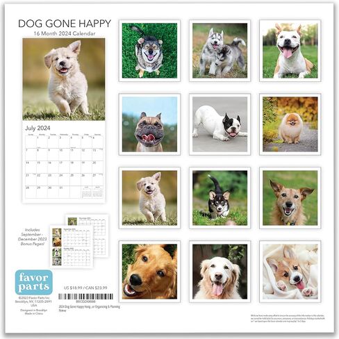 تقويم حائط قابل للتعليق لعام 2024 Dog Gone Happy - 12 بوصة × 12 بوصة - هدية صورة جرو مضحكة لطيفة مبتسمة - تصوير فوتوغرافي قوي وسميك للكلاب - صفحة كاملة كبيرة 16 شهرًا للتنظيم والتخطيط in Saudi Arabia