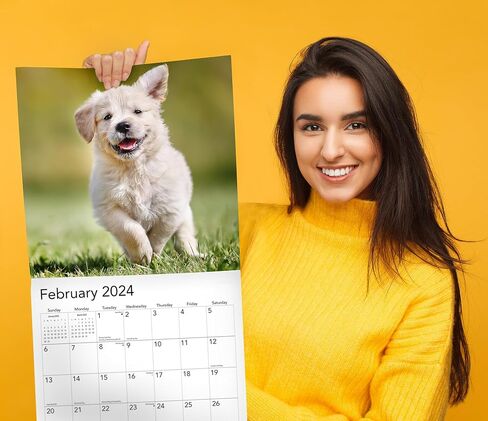 تقويم حائط قابل للتعليق لعام 2024 Dog Gone Happy - 12 بوصة × 12 بوصة - هدية صورة جرو مضحكة لطيفة مبتسمة - تصوير فوتوغرافي قوي وسميك للكلاب - صفحة كاملة كبيرة 16 شهرًا للتنظيم والتخطيط in Saudi Arabia