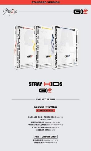 STRAY KIDS - Go Live [إصدار قياسي/عشوائي] 1 ألبوم + 1 ملصق مطوي + 1 بطاقة صور إضافية + 1 قناع أيدول + 1 مرآة يد للجيب in Kuwait