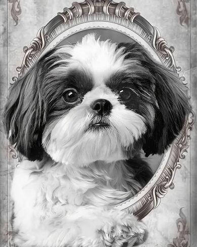 Marsrut Adult Large-Scale 5D Diamond Art kit, Shih Tzu Dog Pattern Complete Diamond Crystal Rhinestone Embroidery Picture Home Decoration Art 40x50 in Saudi Arabia