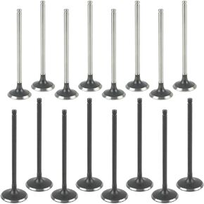 16PCS Intake Exhaust Valves Kit Fit for Hyundai for Santa Fe Sonata for Kia Forte for Optima 2.0L 2.2L, Replace 22211-2G000, 22212-25002
