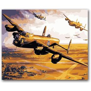 Paint by Number Kits Paintworks DIY Oil Painting for Kids and Adults,Black Plane