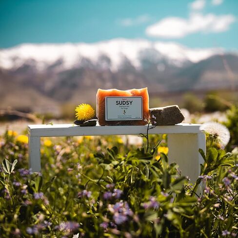 Pupford Sudsy Shampoo Bar for Dogs (Alpine Meadow) in Saudi Arabia