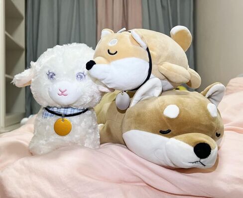 علامات الكلب الفارغة المصنوعة من الألومنيوم، علامات تعريف الكلب القط المحفورة يدويًا، علامات اسم هوية الحيوانات الأليفة الشخصية، علامة الكلب الفارغة DIY نحت، قطر 3 سم مزيج الألوان 12 قطعة in Kuwait