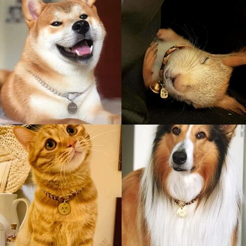 علامات الكلب الفارغة المصنوعة من الألومنيوم، علامات تعريف الكلب القط المحفورة يدويًا، علامات اسم هوية الحيوانات الأليفة الشخصية، علامة الكلب الفارغة DIY نحت، قطر 3 سم مزيج الألوان 12 قطعة in Kuwait