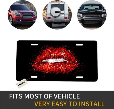 Front License Plate Cover Decor,Aluminum Noverlty License Plate Decorative Car Front, Metal License Plate,Vanity Tag,Decorative Signs 6X12 Inch - Steering Compass in Saudi Arabia